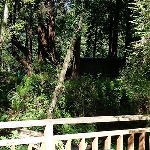 Emerald Forest Cabins